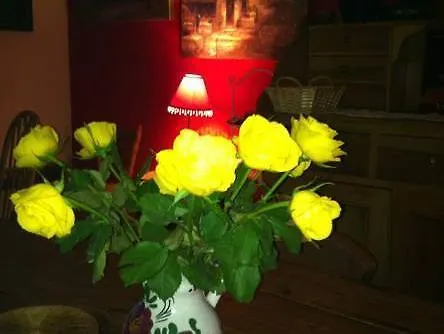 Church View Hotell 3*